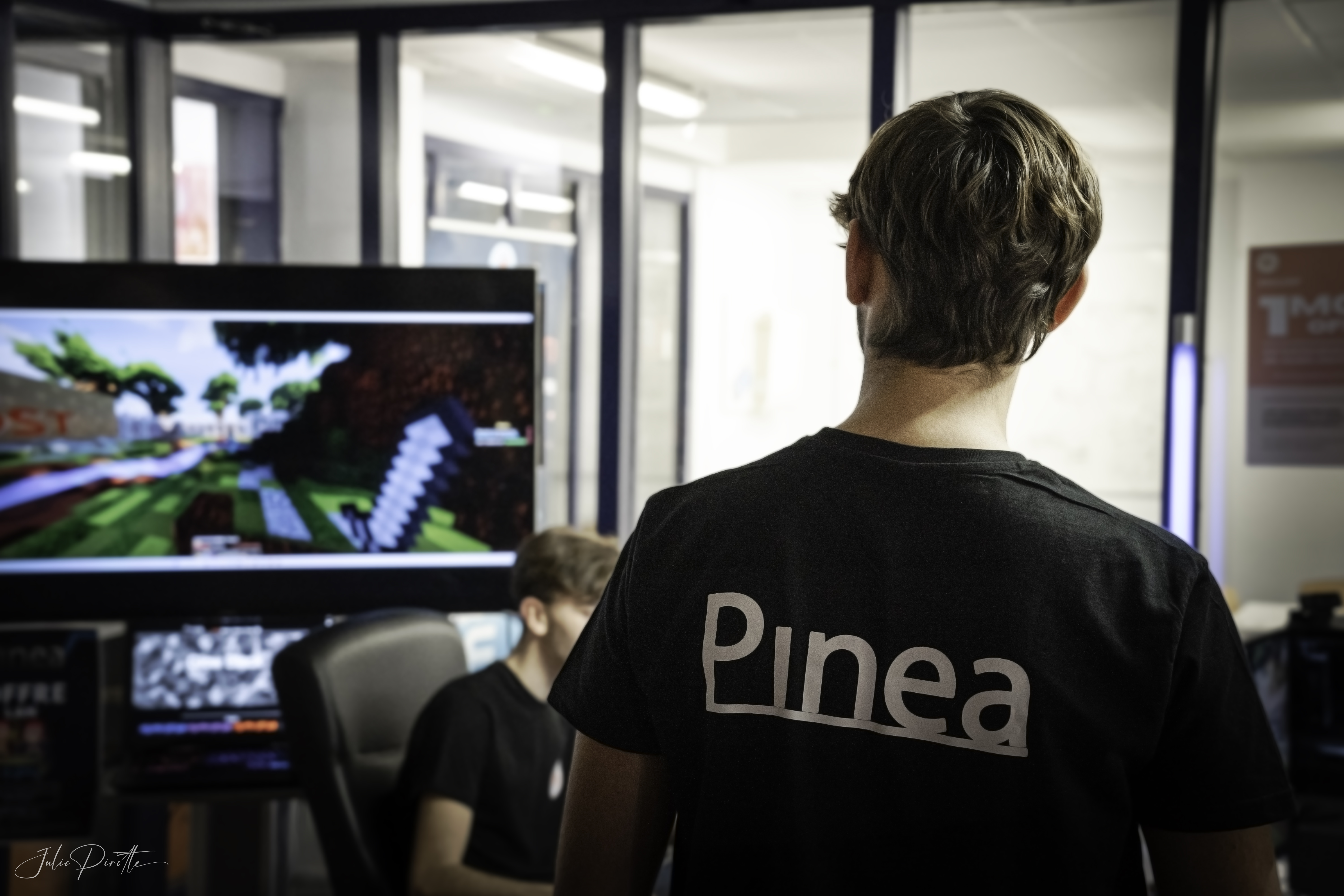 Visuel Pinea