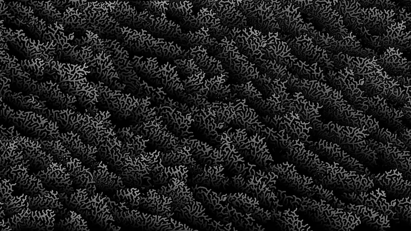 Motif Coral Black aux ramifications gris argenté nettement visibles sur noir