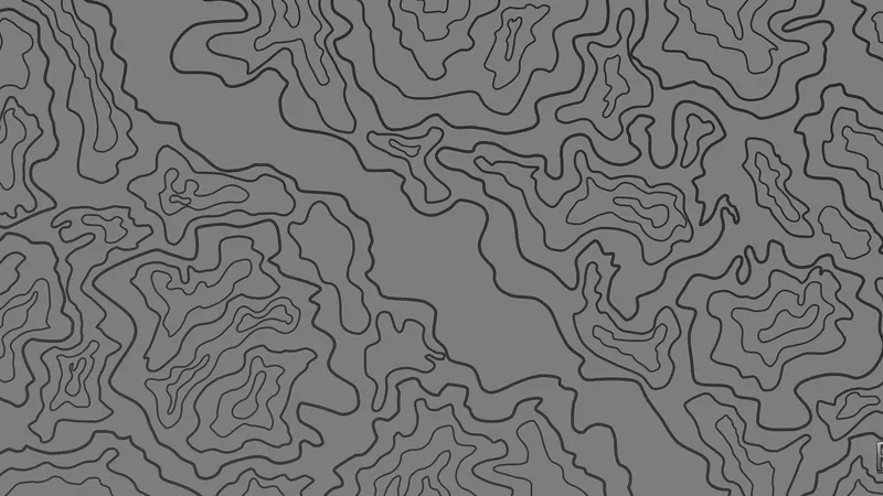 Topographic White : courbes de niveau foncées sur fond gris clair